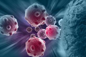 新研究揭示癌细胞产生抗药性的机制