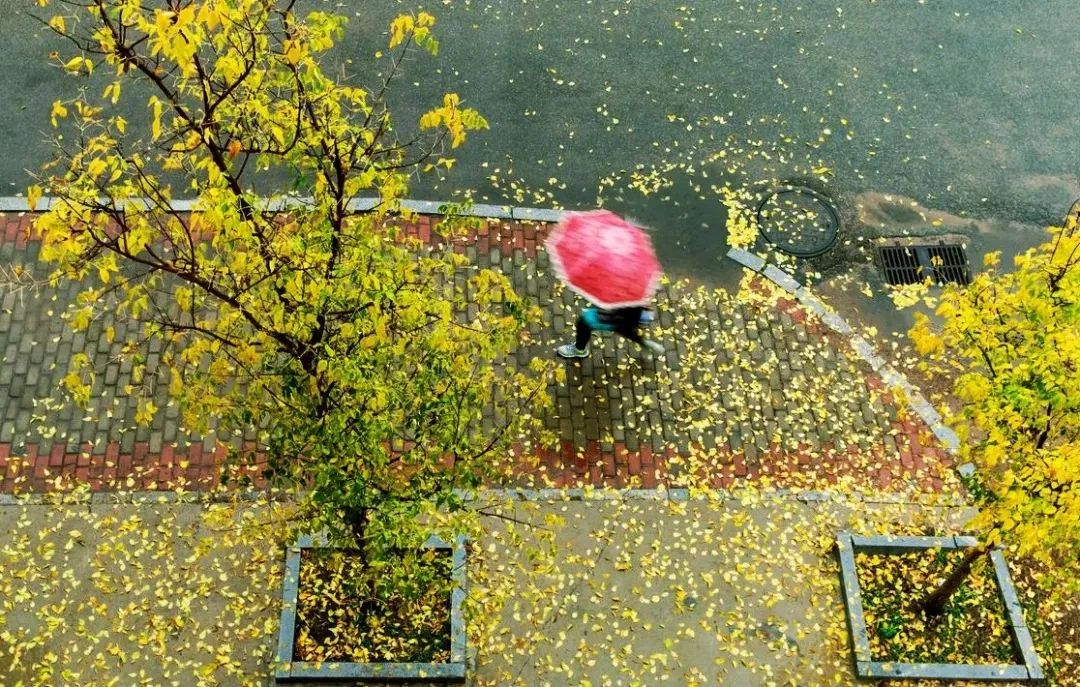“一场秋雨一场寒”究竟是为何？