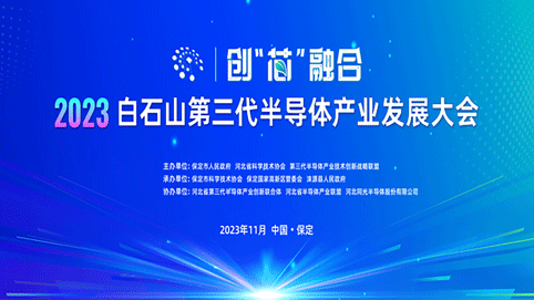 95296252.png