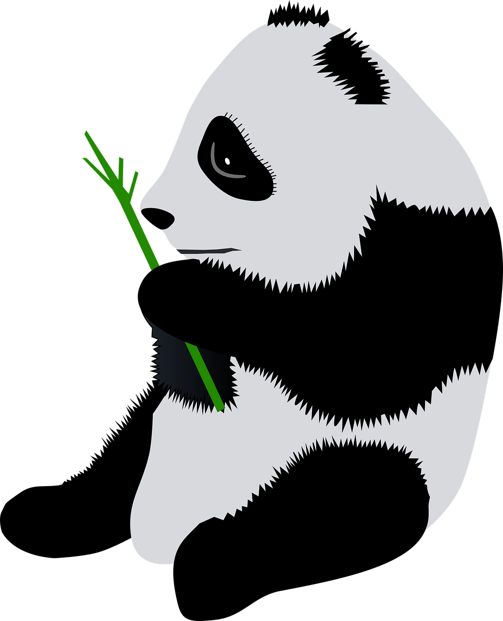 科普一下 | “弟弟”变“妹妹”，大熊猫为何出现性别乌龙？