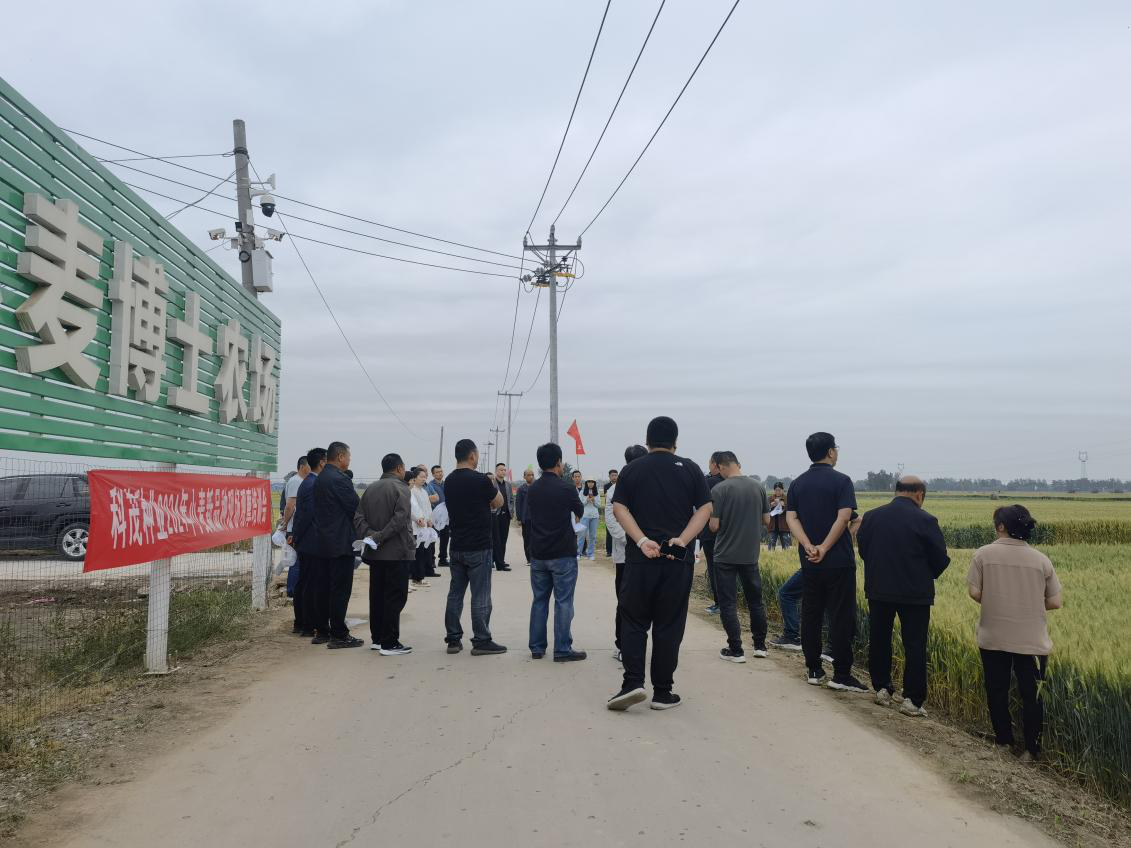 高碑店市科学技术协会举办2024年全国科技活动周系列活动——高碑店市小麦单产提升现场观摩培训会