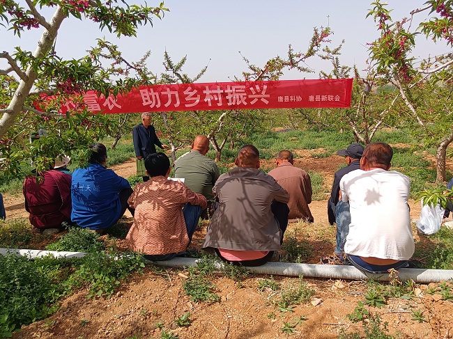 唐县科协引领果农迈向丰收路
