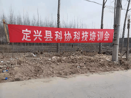 1617324940414490.png 图片1.png